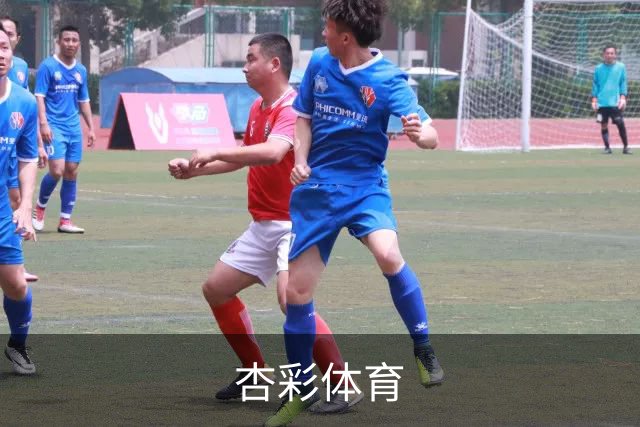 杏彩体育公司简介图片